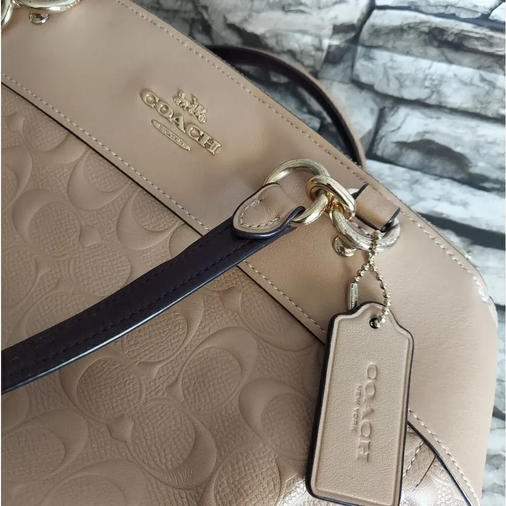 BROOKE CARRYALL IN SIGNATURE LEATHER (COACH F25952)